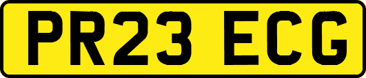 PR23ECG