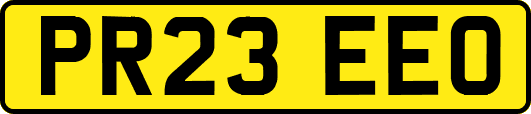 PR23EEO