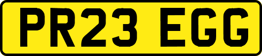PR23EGG