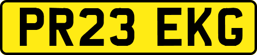 PR23EKG