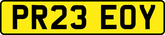 PR23EOY