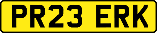 PR23ERK