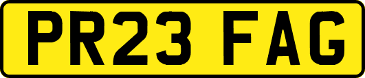 PR23FAG