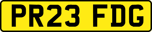 PR23FDG