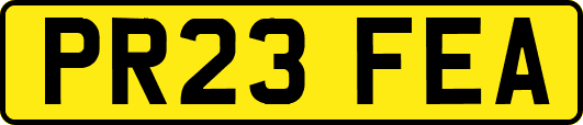 PR23FEA