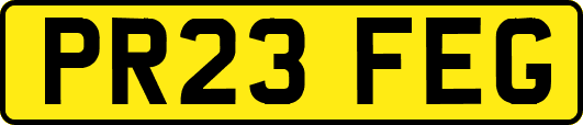 PR23FEG