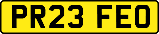 PR23FEO