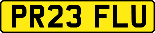 PR23FLU
