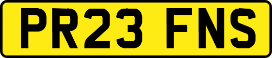 PR23FNS