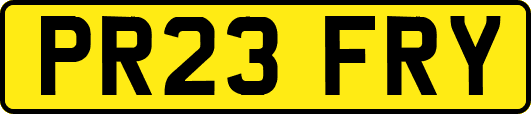PR23FRY