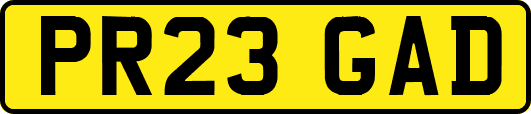 PR23GAD