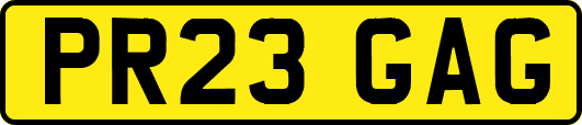 PR23GAG