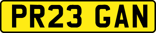 PR23GAN