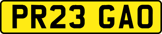 PR23GAO
