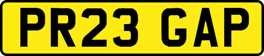 PR23GAP
