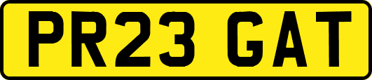 PR23GAT