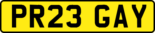 PR23GAY