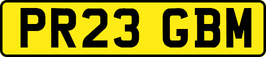 PR23GBM