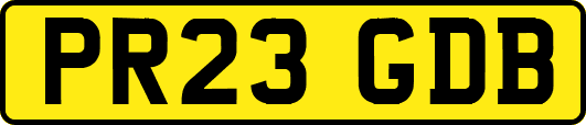 PR23GDB