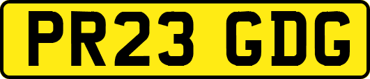PR23GDG