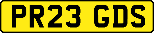 PR23GDS