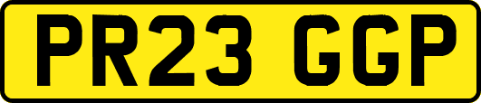 PR23GGP