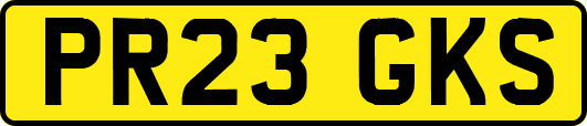 PR23GKS