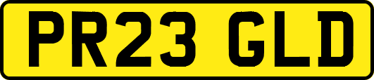 PR23GLD