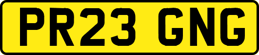 PR23GNG