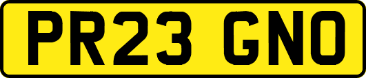 PR23GNO