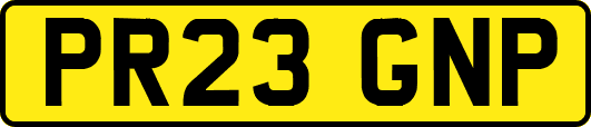 PR23GNP