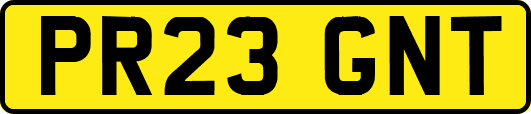 PR23GNT