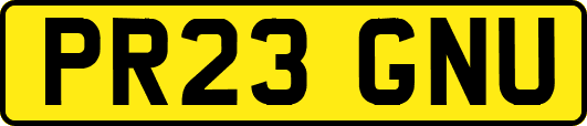 PR23GNU