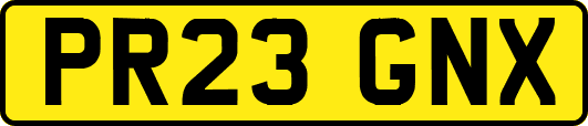 PR23GNX