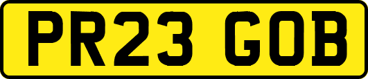 PR23GOB