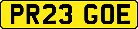 PR23GOE