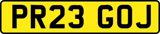 PR23GOJ
