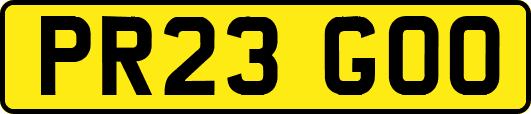 PR23GOO
