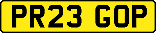 PR23GOP