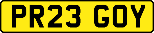 PR23GOY