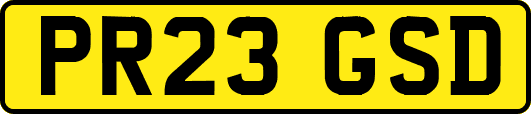 PR23GSD
