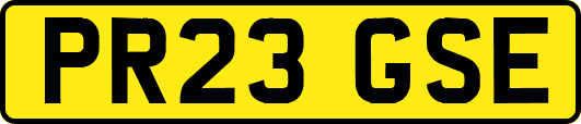 PR23GSE