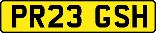 PR23GSH