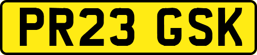 PR23GSK