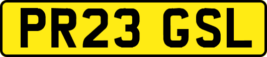 PR23GSL