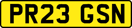 PR23GSN