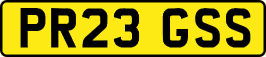 PR23GSS