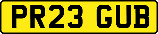 PR23GUB