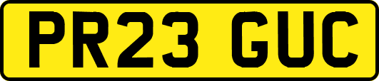PR23GUC
