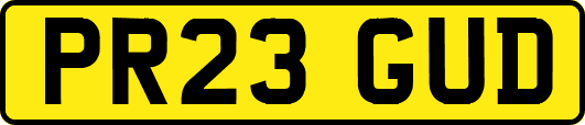 PR23GUD